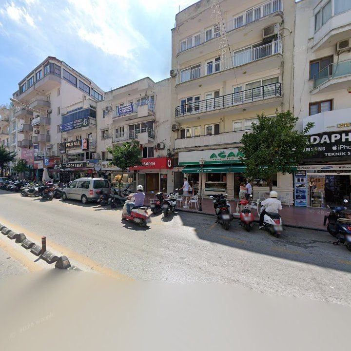 Fotoğraf 10