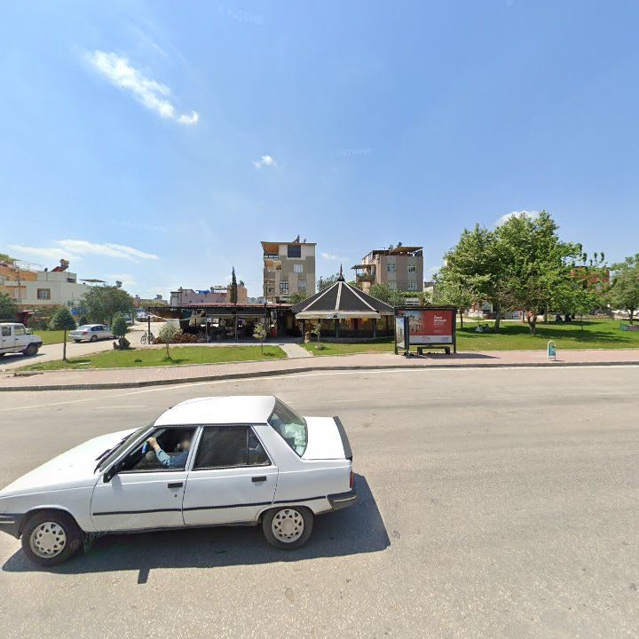 Fotoğraf 8