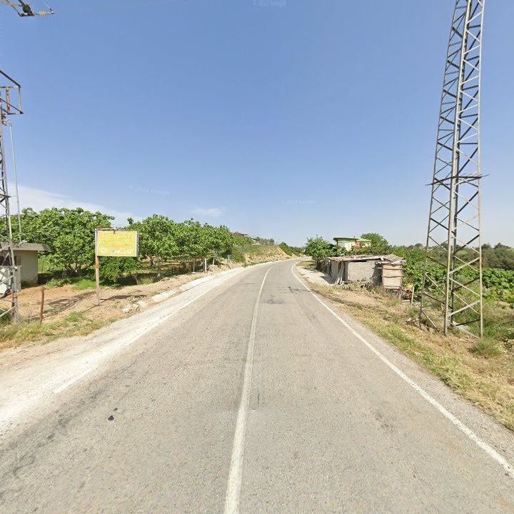 Fotoğraf 8