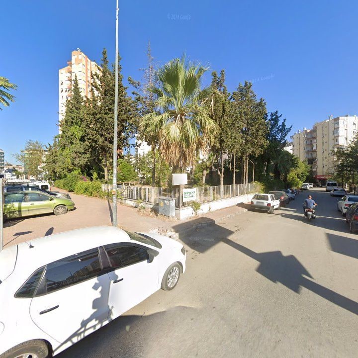 Fotoğraf 12