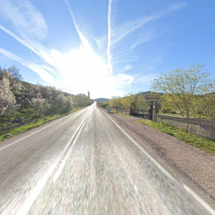 Fotoğraf 13