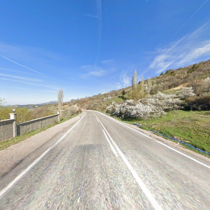 Fotoğraf 11