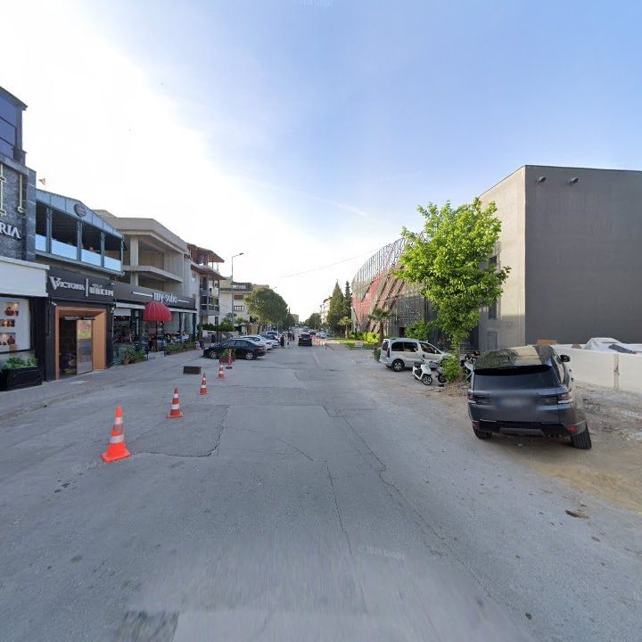 Fotoğraf 8