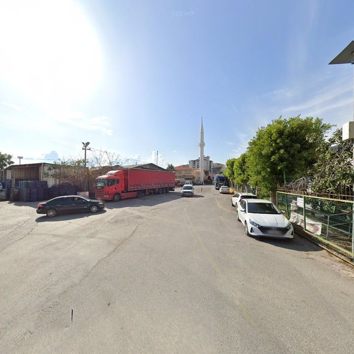 Fotoğraf 8