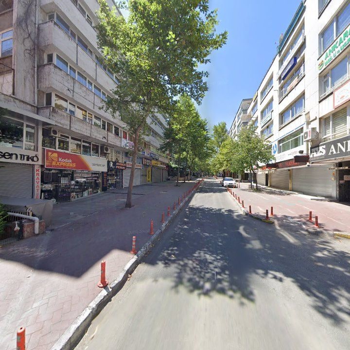 Fotoğraf 12