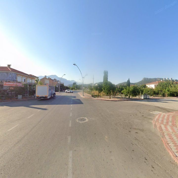 Fotoğraf 16