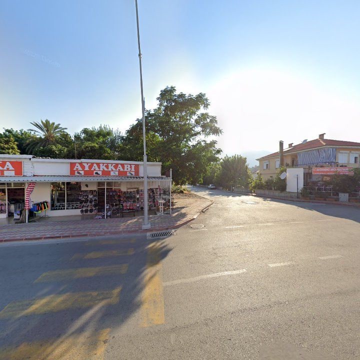 Fotoğraf 15