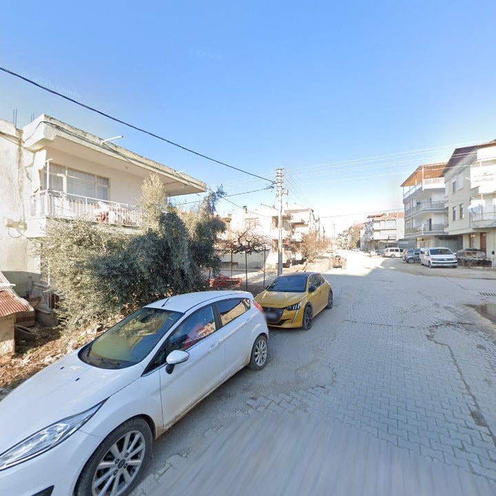 Fotoğraf 9
