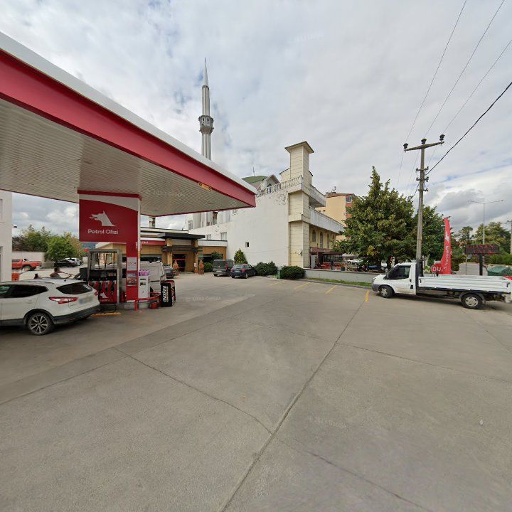 Fotoğraf 5