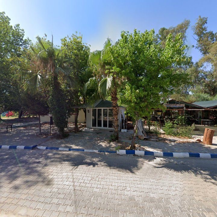 Fotoğraf 12