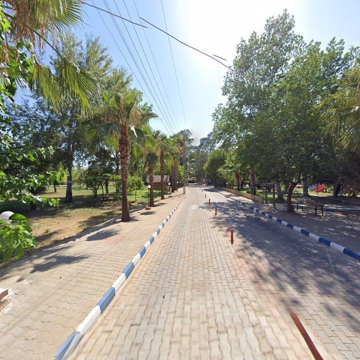Fotoğraf 11