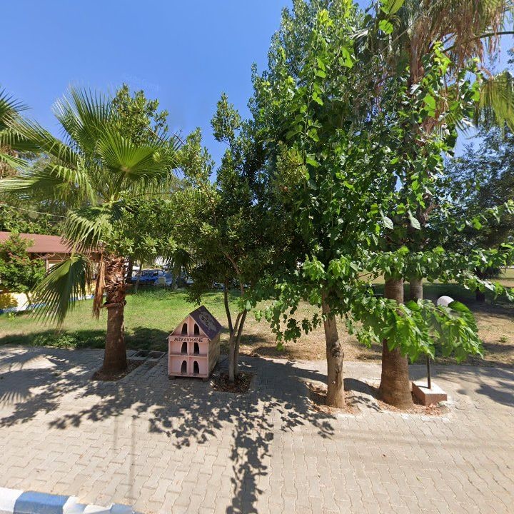 Fotoğraf 10