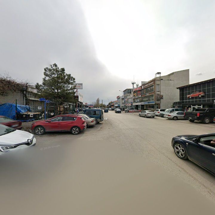 Fotoğraf 9