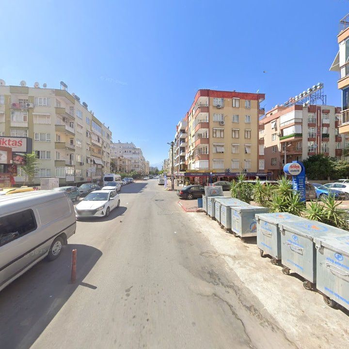 Fotoğraf 10