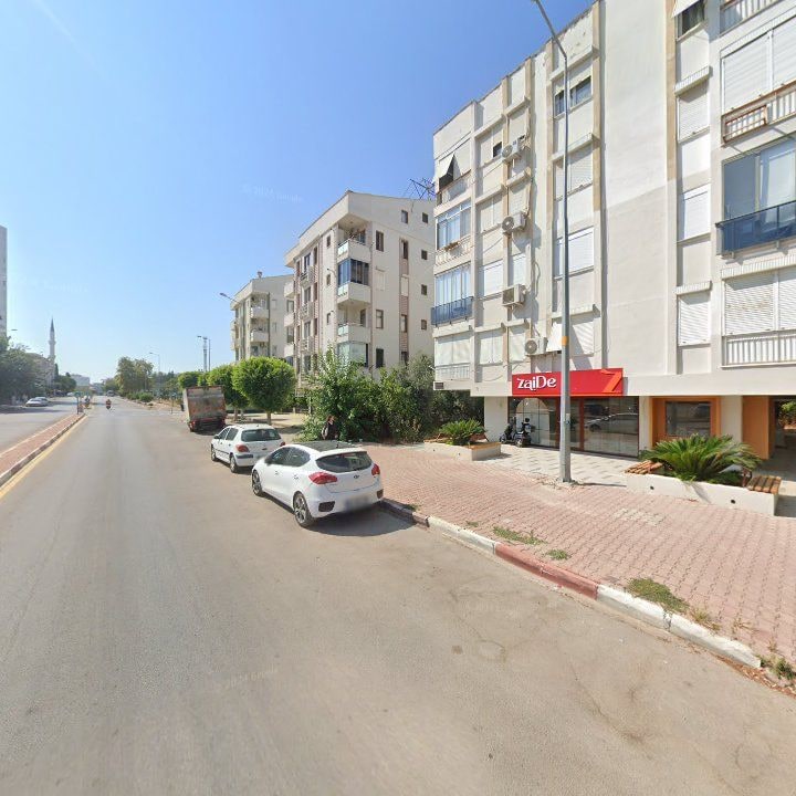 Fotoğraf 15