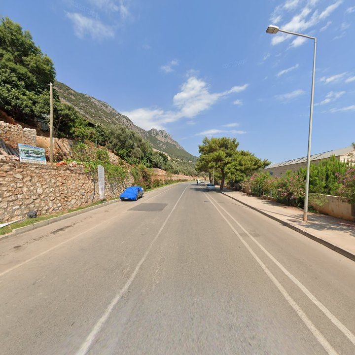 Fotoğraf 12