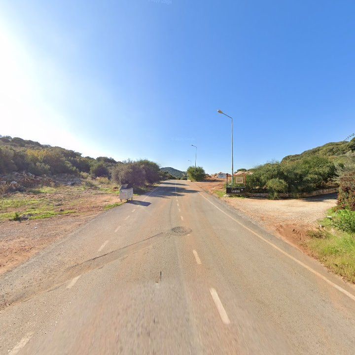Fotoğraf 13