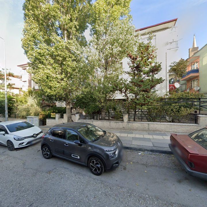 Fotoğraf 8