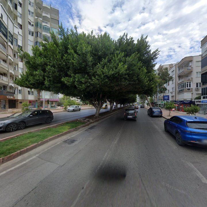 Fotoğraf 14
