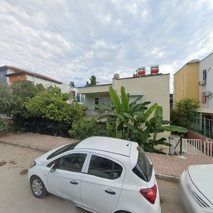 Fotoğraf 8