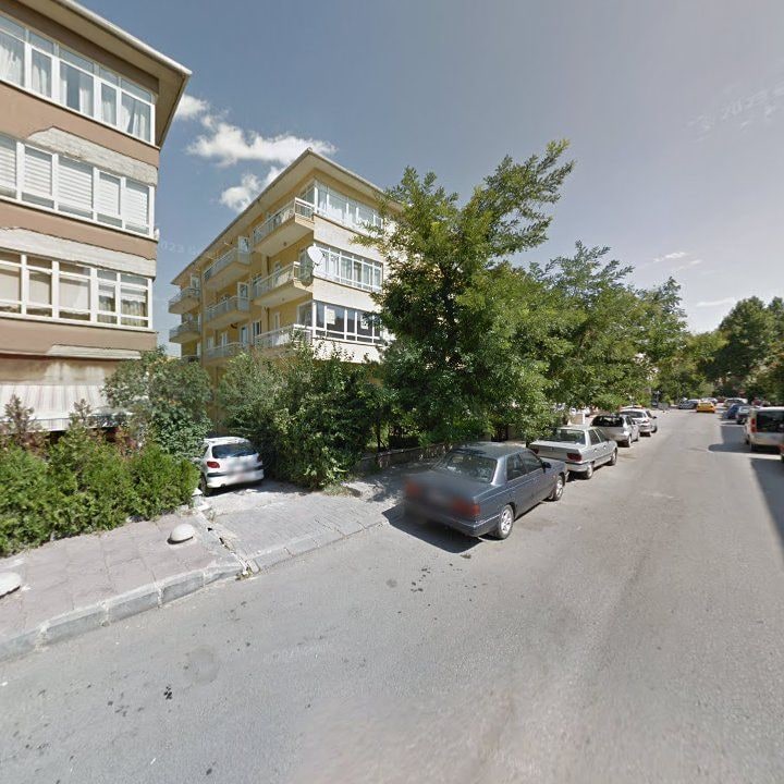 Fotoğraf 11