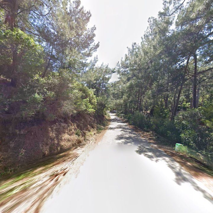 Fotoğraf 12