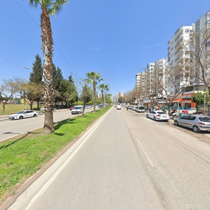 Fotoğraf 15