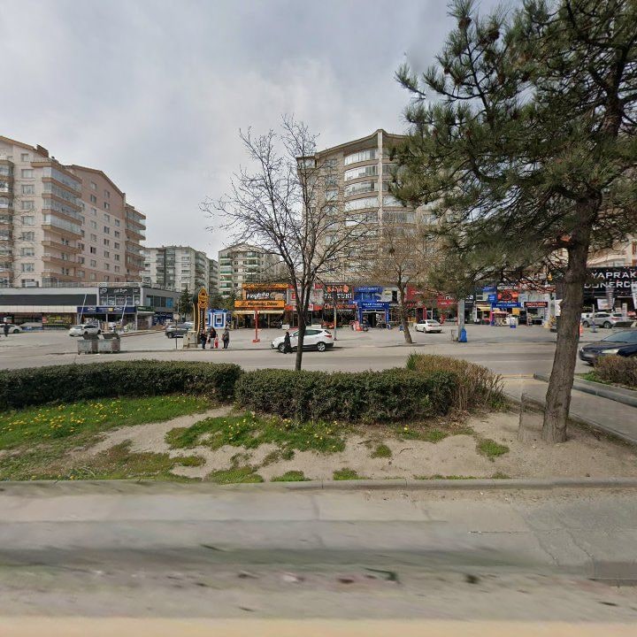 Fotoğraf 8
