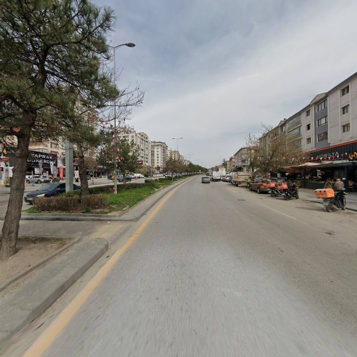 Fotoğraf 9