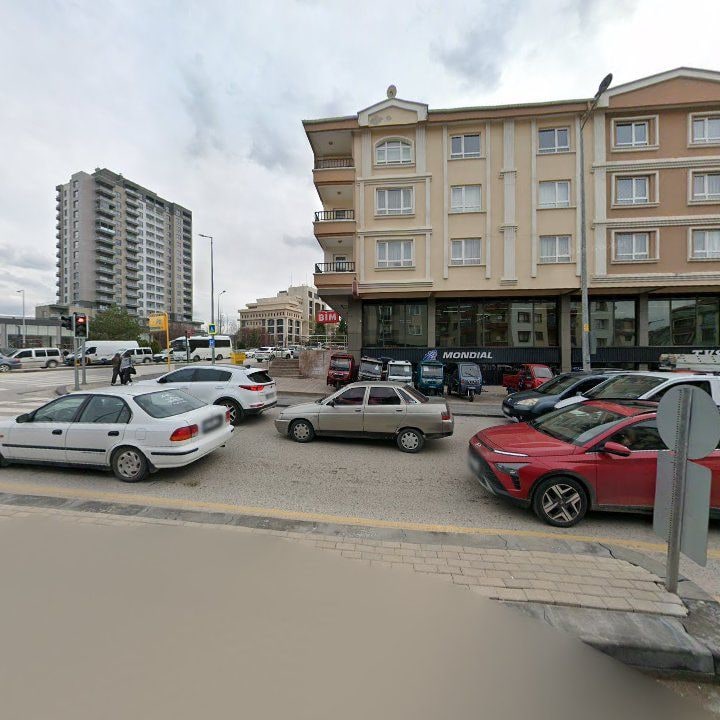 Fotoğraf 8