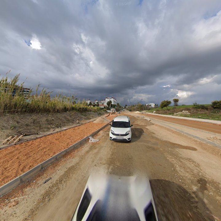 Fotoğraf 13