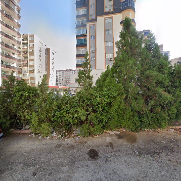 Fotoğraf 11