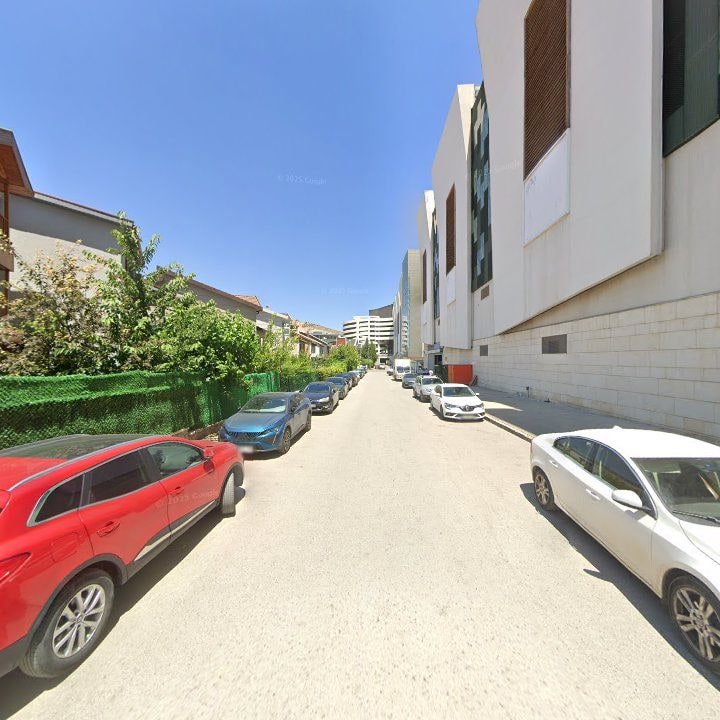 Fotoğraf 9