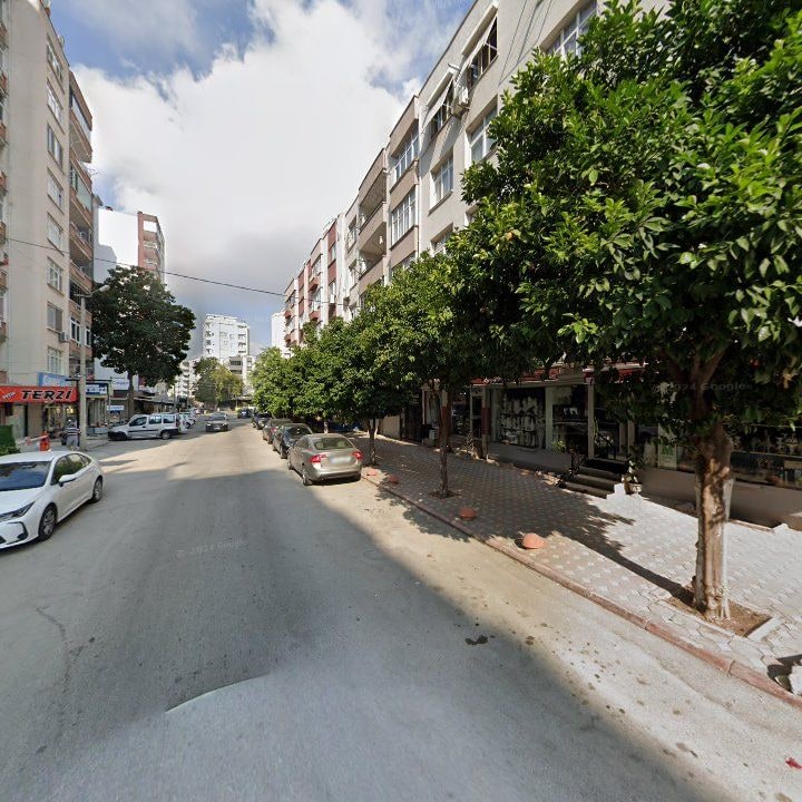 Fotoğraf 15