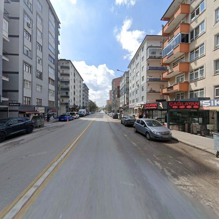 Fotoğraf 8