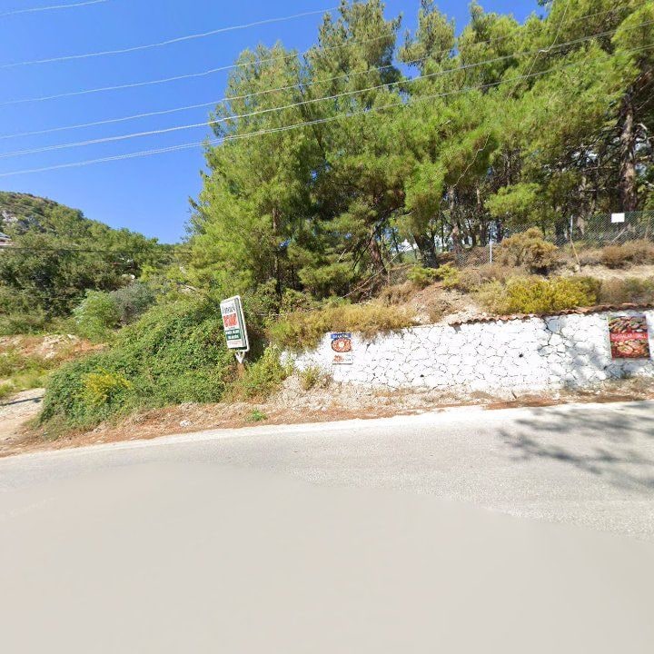 Fotoğraf 11