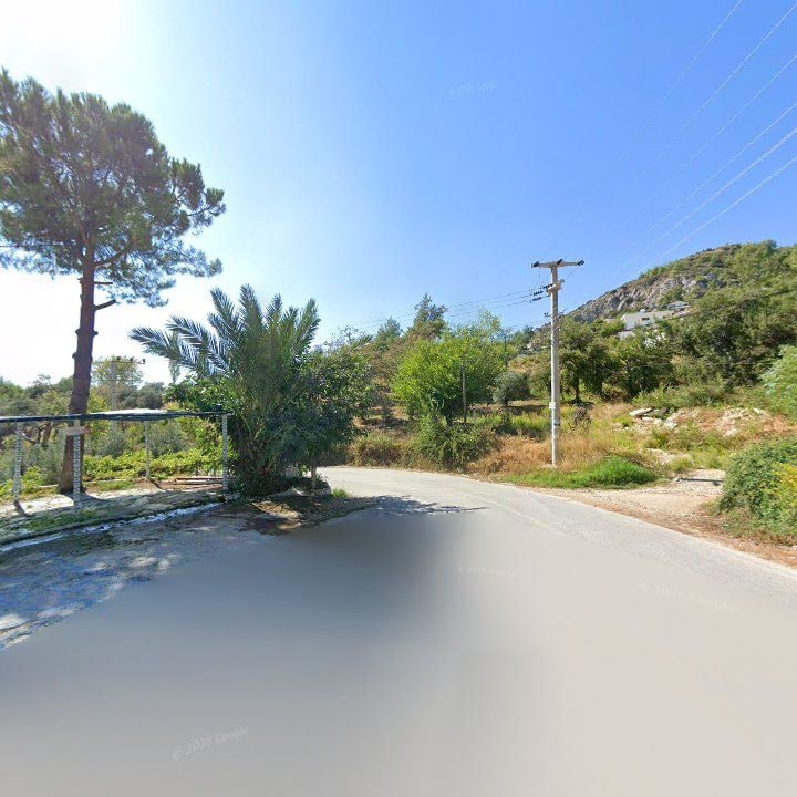 Fotoğraf 10