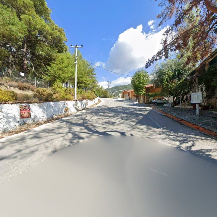 Fotoğraf 12