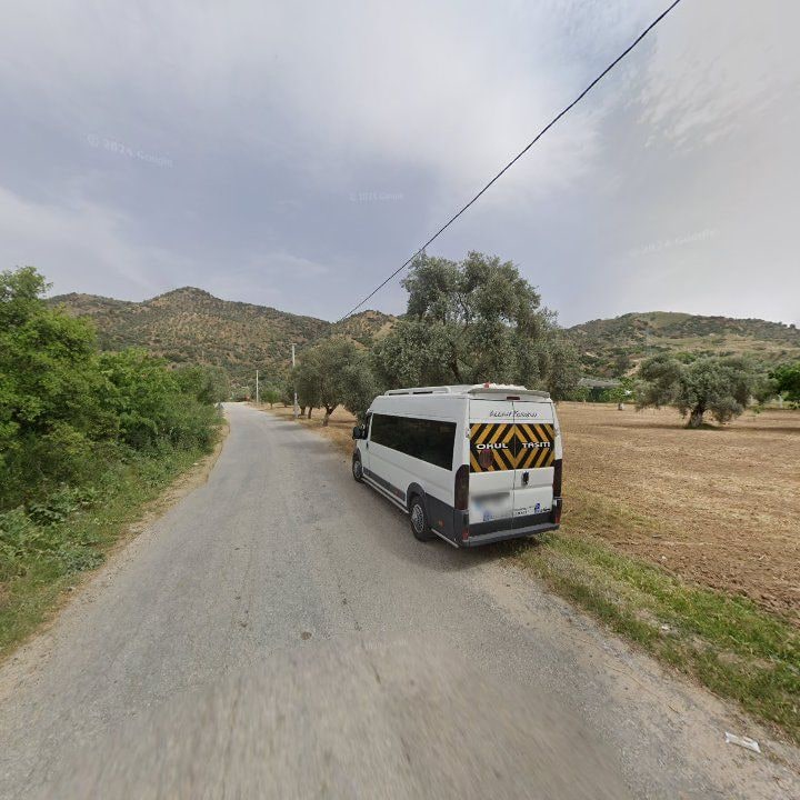 Fotoğraf 9