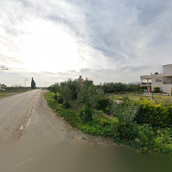 Fotoğraf 2