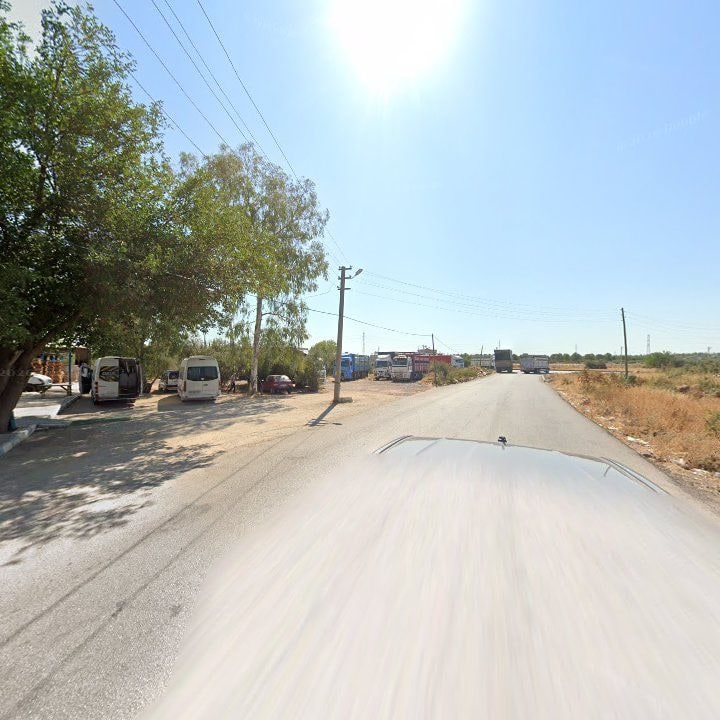 Fotoğraf 7