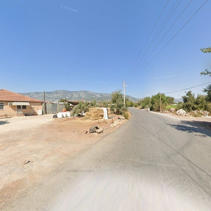 Fotoğraf 9