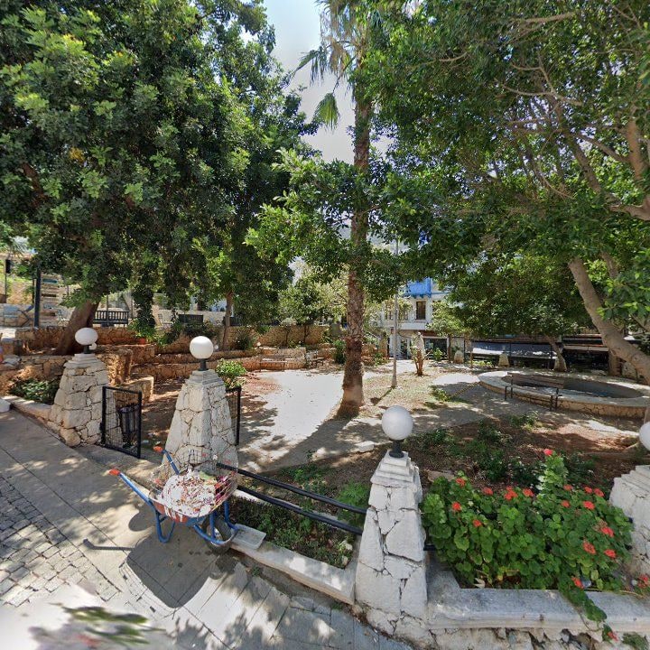 Fotoğraf 12