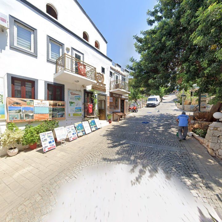 Fotoğraf 11