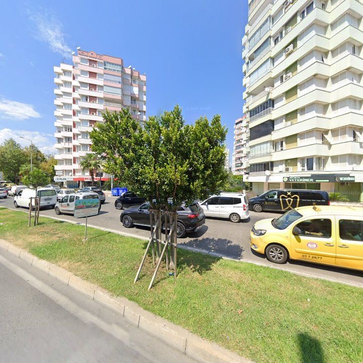 Fotoğraf 11