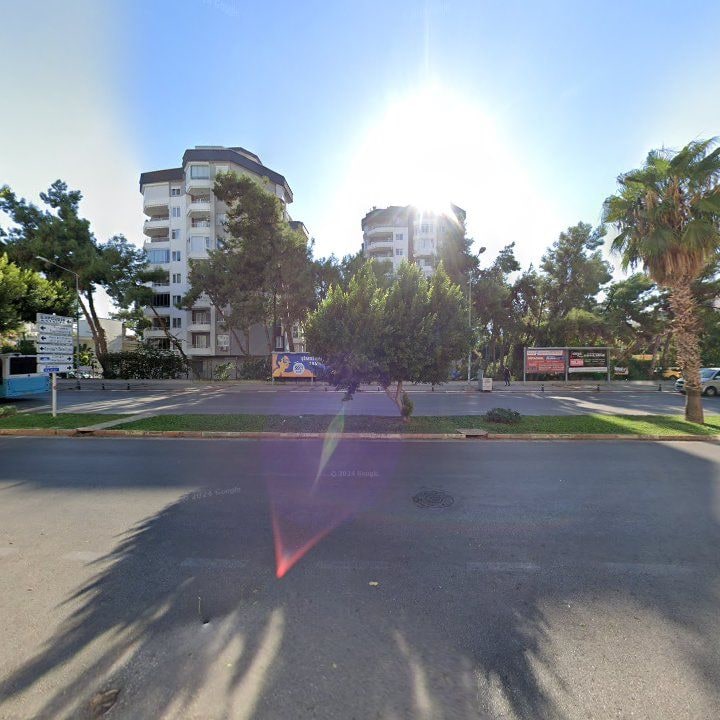Fotoğraf 11
