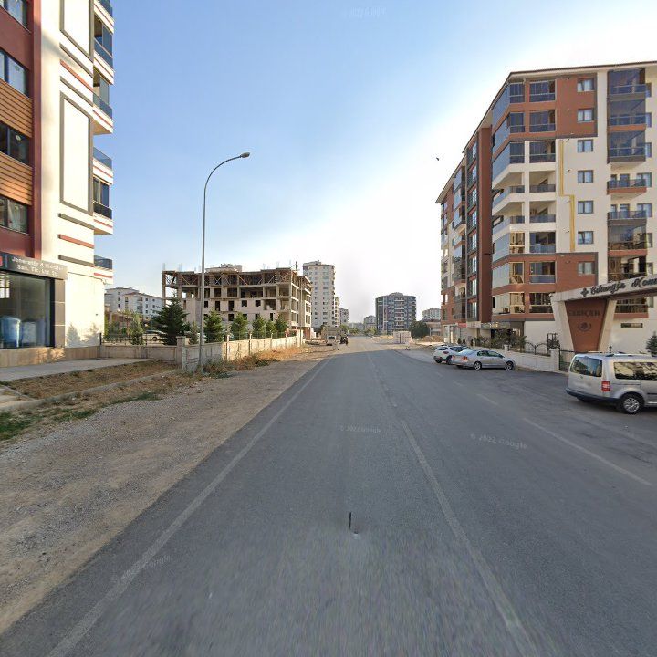 Fotoğraf 10