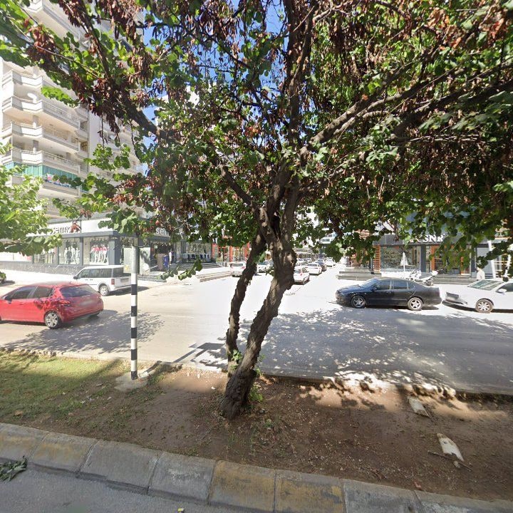 Fotoğraf 7