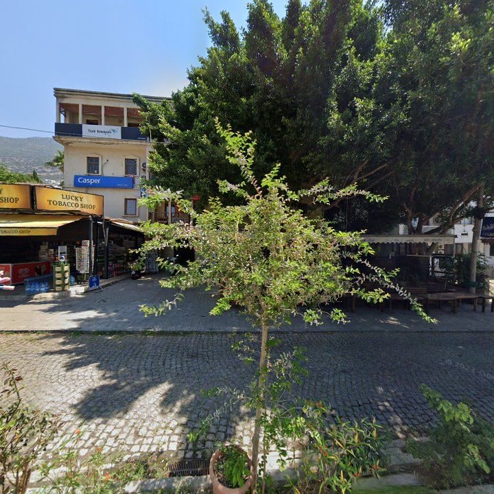 Fotoğraf 7