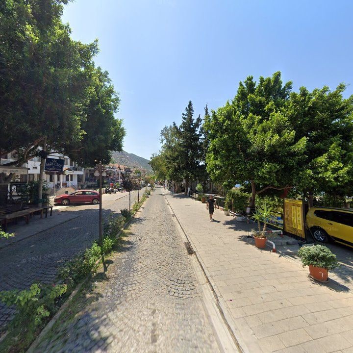 Fotoğraf 8